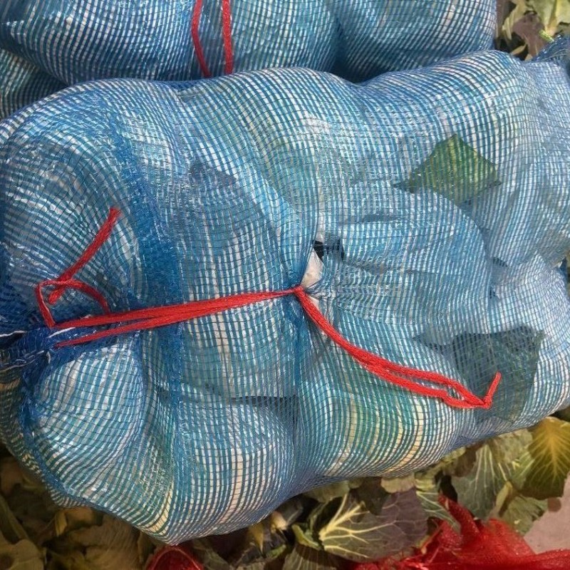 Fresh Chinese Green/White/Beijing/Red Cabbage