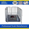 Factory Price Animal Weighing Scale 300kgs 500kgs 2000kgs Livestock Scale for Pig Cattle