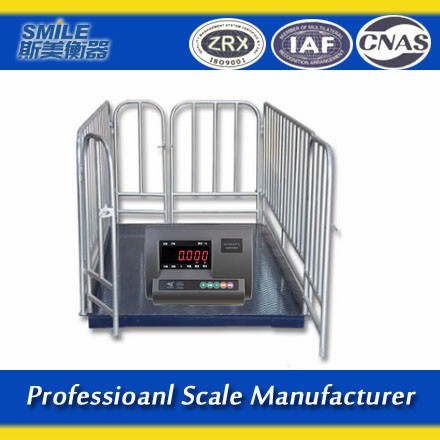 Factory Price Animal Weighing Scale 300kgs 500kgs 2000kgs Livestock Scale for Pig Cattle