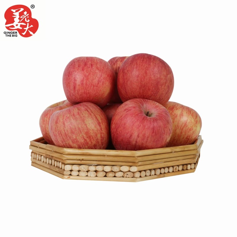 Fresh Premium Quality New Crop Red Gala Apple