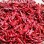 New Crop Chaotian Chili From China