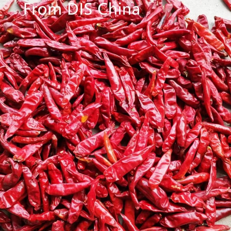New Crop Chaotian Chili From China