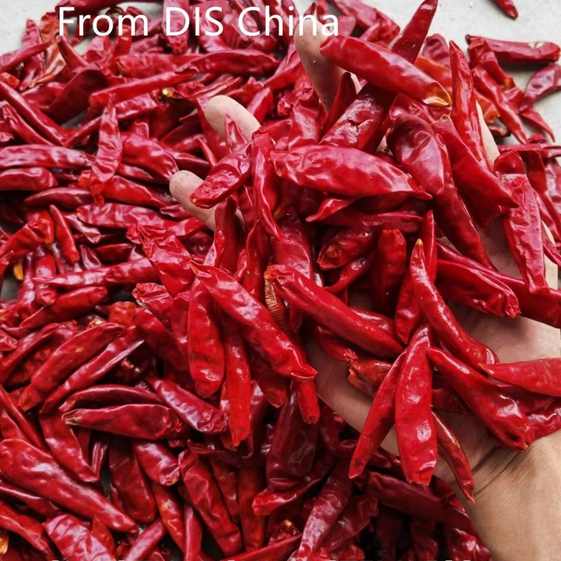 New Crop Chaotian Chili From China