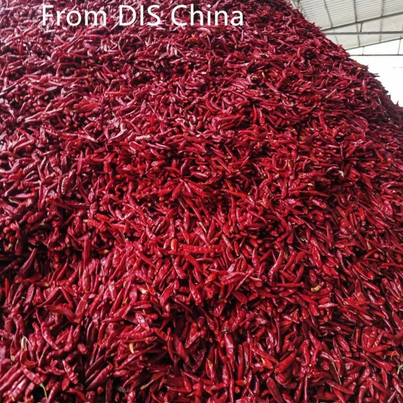 New Crop Chaotian Chili From China