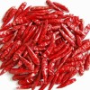 New Crop Chaotian Chili From China