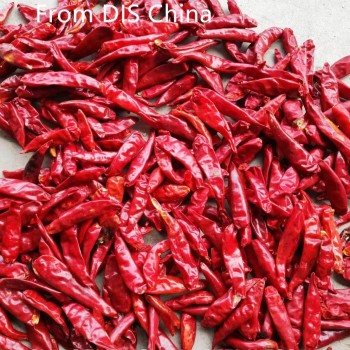 New Crop Chaotian Chili From China