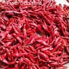 New Crop Chaotian Chili From China