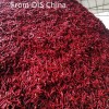New Crop Chaotian Chili From China
