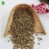 Competitive Price of Raw Arabica Coffee Beans Wholesale Green Coffee Beans