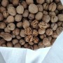 High Quality 185 Walnut Inshell Stocks Sale at The Factory Price