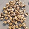 High Quality 185 Walnut Inshell Stocks Sale at The Factory Price