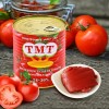800g Best Brand Organic Canned Tomato Paste Manufacturer with Best Price