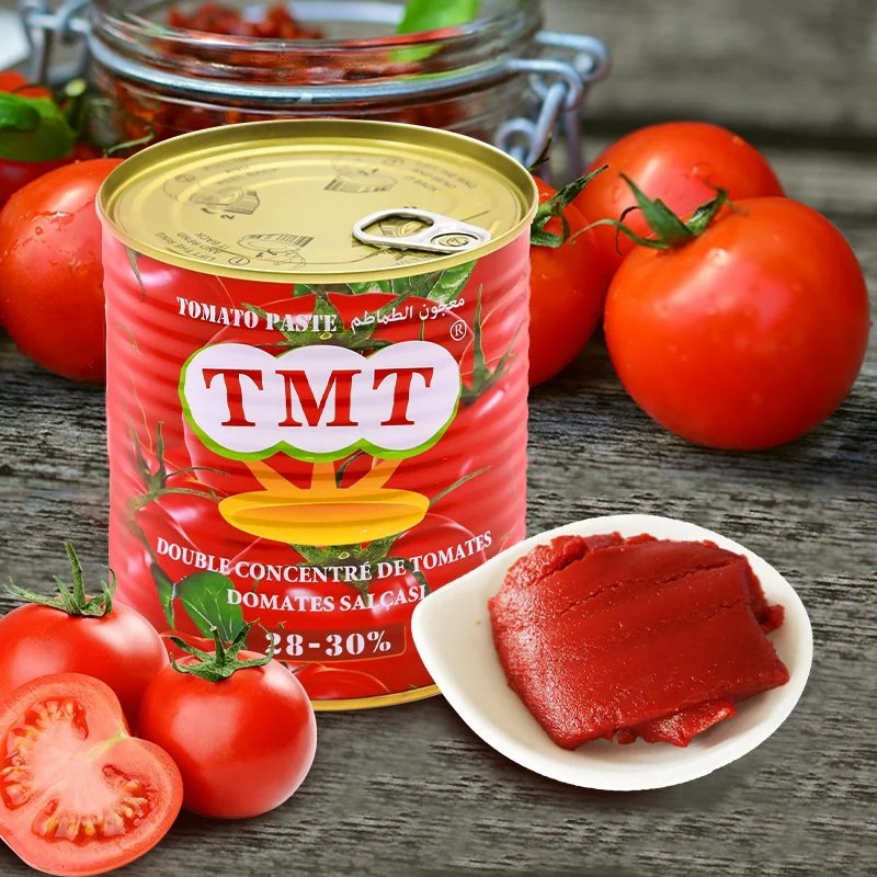 800g Best Brand Organic Canned Tomato Paste Manufacturer with Best Price