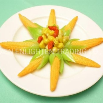 Fresh Canned Baby Corn Spear in Brine