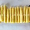 Fresh Canned Baby Corn Spear in Brine