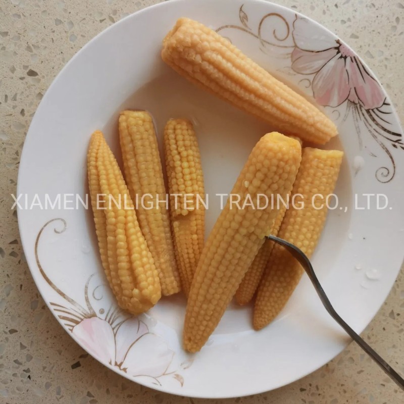 Fresh Canned Baby Corn Spear in Brine