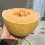 Hybrid F1 Yellow Peel Sweet Melon Seeds for Growing-Golden Net No. 9