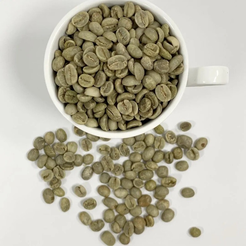 High Quality Yunnan Arabica Green Coffee Beans for Sale