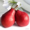 2024 Western Pear Big Head Pear Fresh Pear Comis Red Pear in China