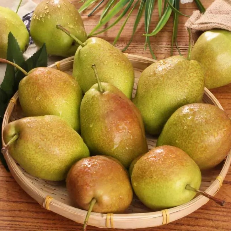 2024 Western Pear Big Head Pear Fresh Pear Comis Red Pear in China