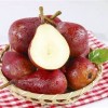 2024 Western Pear Big Head Pear Fresh Pear Comis Red Pear in China