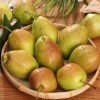 2024 Western Pear Big Head Pear Fresh Pear Comis Red Pear in China
