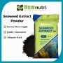 Water Soluble Seaweed Kelp Extract Fertilizer Omri Organic Bio Plant Nutrition