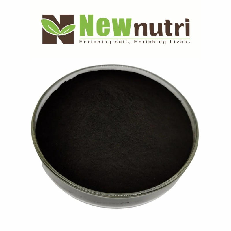 Water Soluble Seaweed Kelp Extract Fertilizer Omri Organic Bio Plant Nutrition