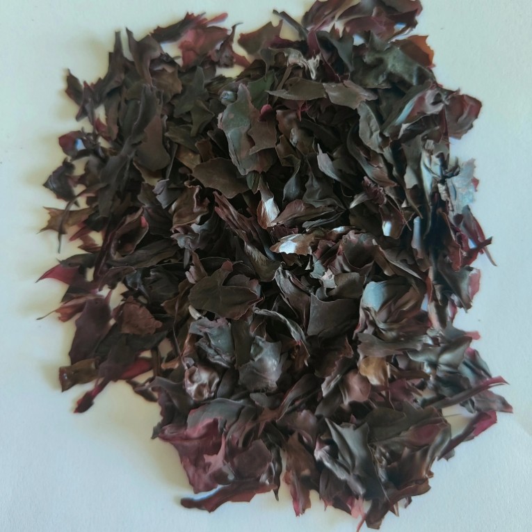 Dried Dulse Flakes Traditional Seaweed Stock