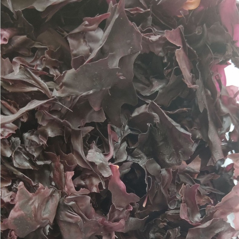 Dried Dulse Flakes Traditional Seaweed Stock