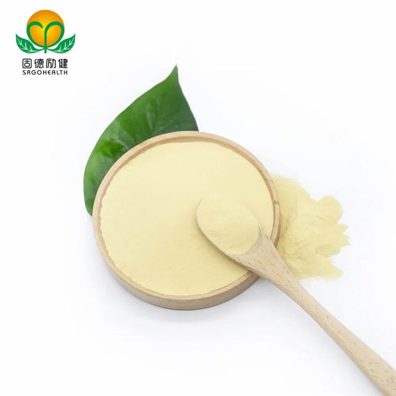 OEM GMP Amazon Hot Selling Lower Price Lyophilized Royal Jelly Powder