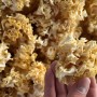 Premium Sparassis Crispa Dried Mushrooms for Gourmet Gift Baskets
