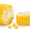 MID Maturity, High Quality, High Yield, High Ear Formation Rate Sweet Corn Seeds