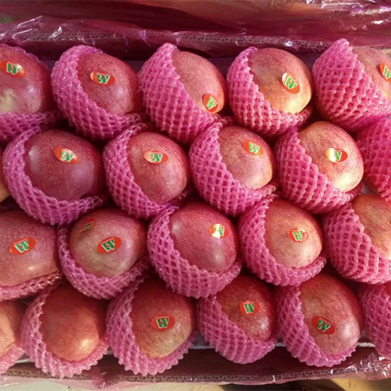 Paper Bagged FUJI Apple Fresh Premium Quality