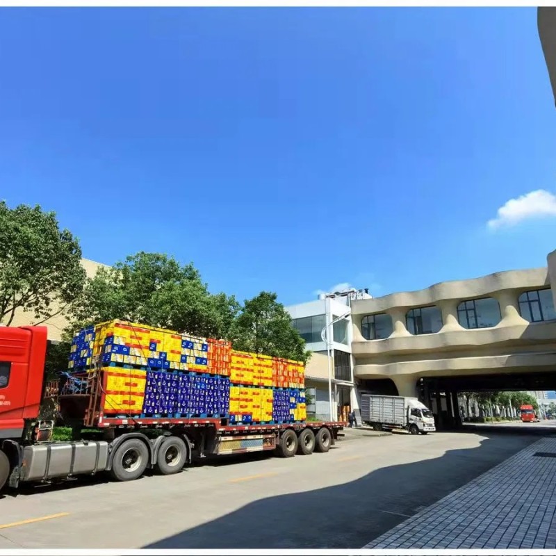 High Quality 500ml*24cans Abv 8% China OEM Brewery Canned Beer for Export