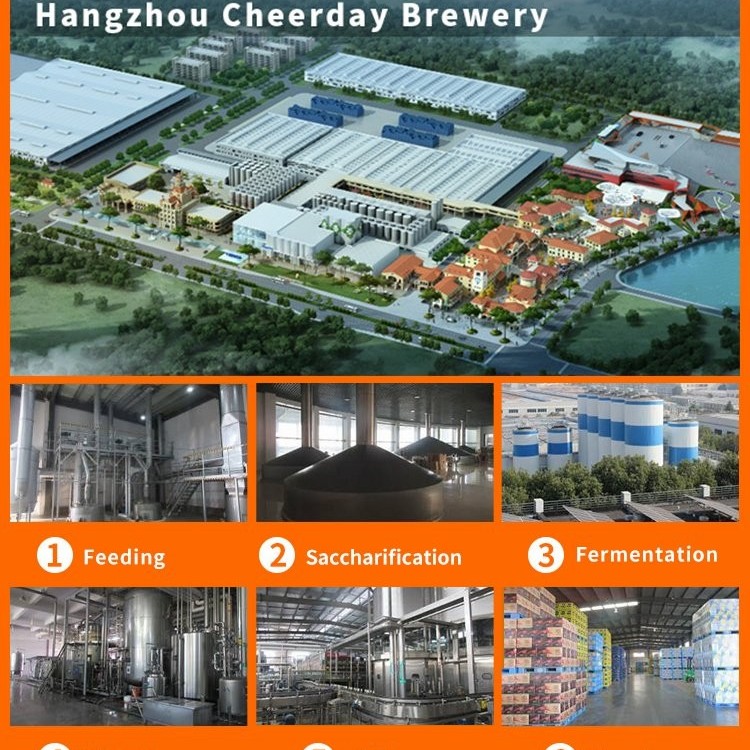 High Quality 500ml*24cans Abv 8% China OEM Brewery Canned Beer for Export