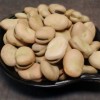 Arabic Favorite Canned Broad Beans Fava Beans in Brine Water OEM
