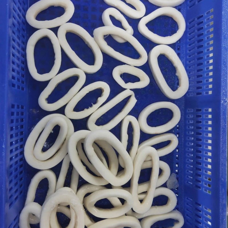 Frozen Squid Ring/Anillas De Pota/Illex Squid Ring/Gigas Squid Ring