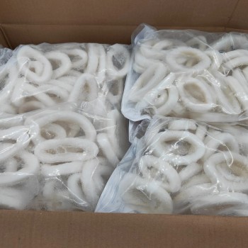 Frozen Squid Ring/Anillas De Pota/Illex Squid Ring/Gigas Squid Ring