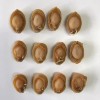 N09 Cheap Price Good Quality Nutritious 500g Seafood Shellfish Dried Abalone