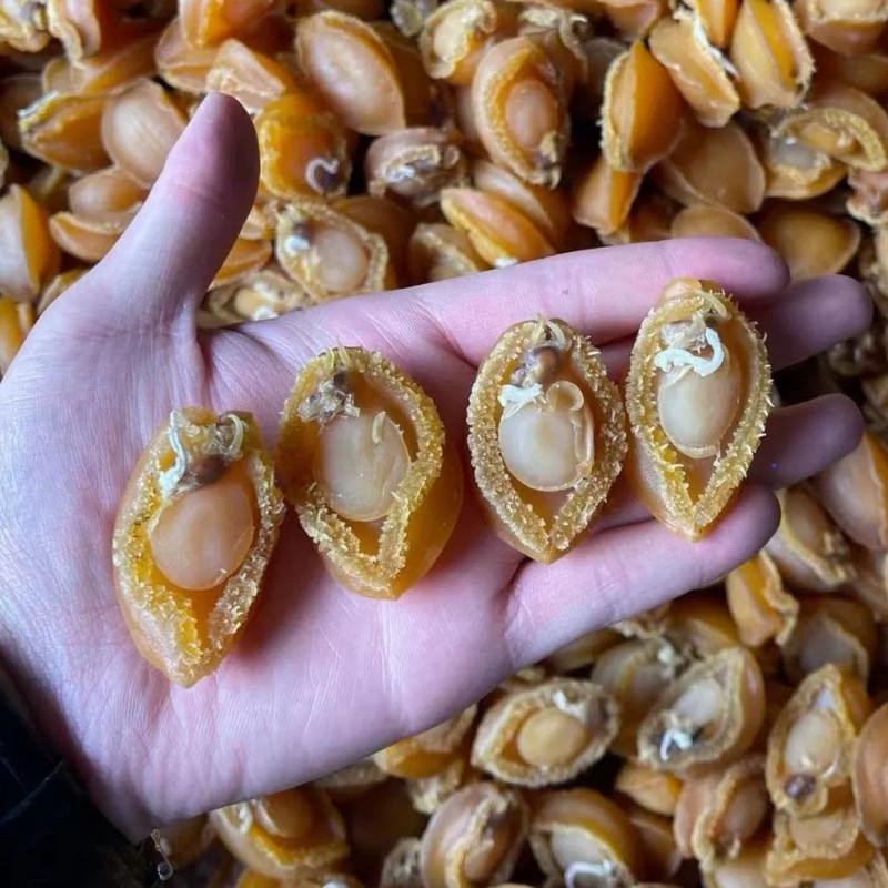 N09 Cheap Price Good Quality Nutritious 500g Seafood Shellfish Dried Abalone