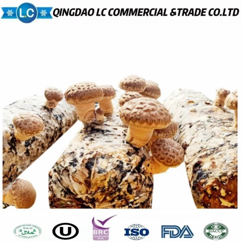 Frozen Shiitake Mushrooms Frozen Dried Mushroom