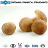 Frozen Shiitake Mushrooms Frozen Dried Mushroom