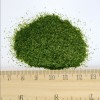 N02 40-60mesh Chinese Dried Qinghai Sea Moss Green Seaweed Aonori