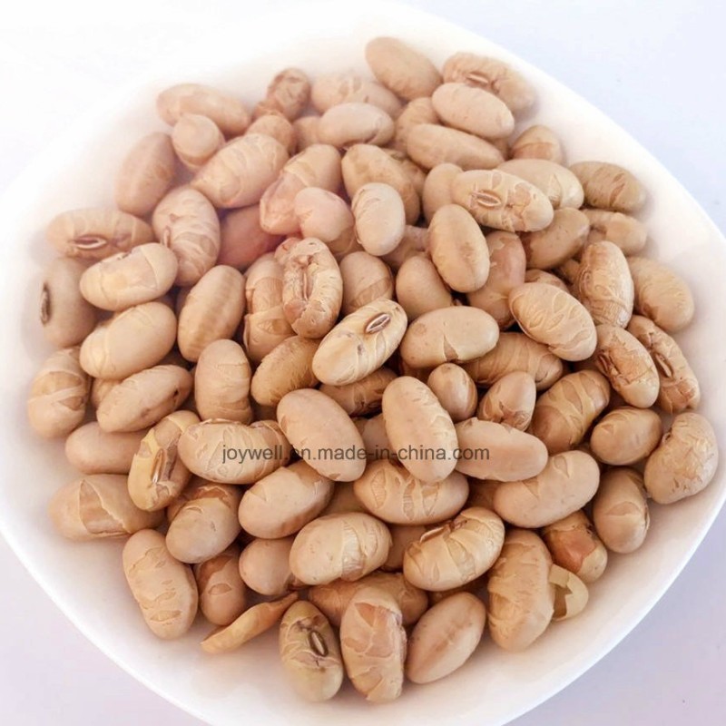 100% Natural Products Roasted Salted Soya Bean Snacks Kosher Products