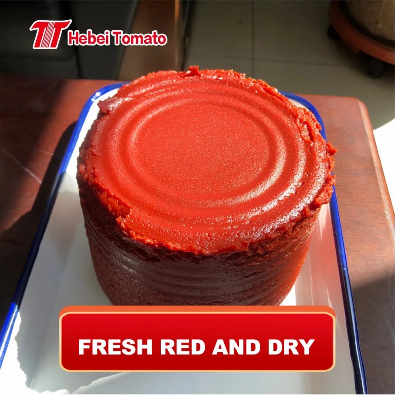 Double Concentrated Tomato Paste 28-30% Canned or Sachet Tomato Paste From Factory