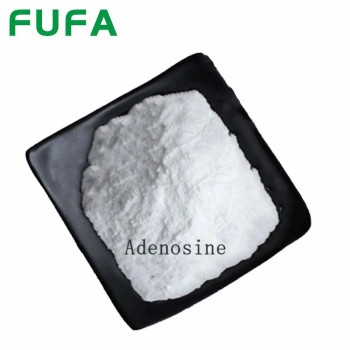 High-Quality Amino Acid Powdered Adenosine Intermediates for Various Applications