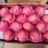 Shandong High Standard Paper Bagged FUJI Apple