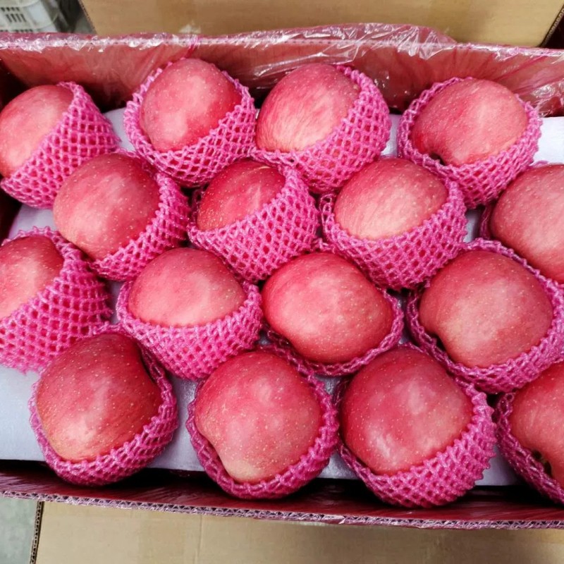 Shandong High Standard Paper Bagged FUJI Apple