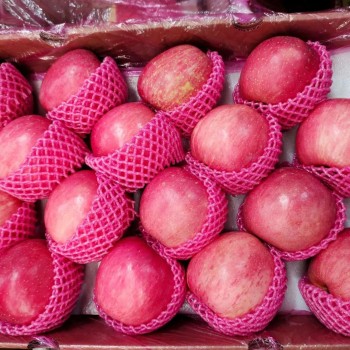 Shandong High Standard Paper Bagged FUJI Apple